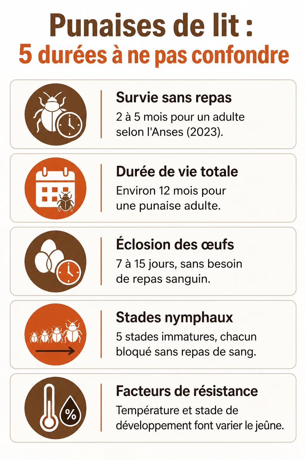 Punaises de lit : 5 durées à ne pas confondre : Survie sans repas, Durée de vie totale, Éclosion des œufs, Stades nymphaux, Facteurs de résistance
